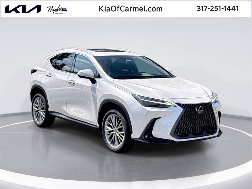 2022 Lexus NX
