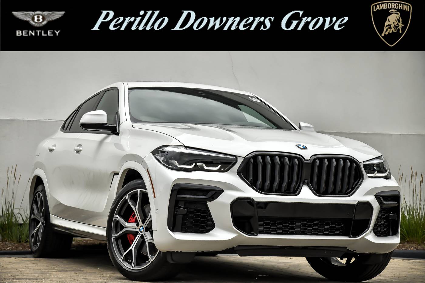 2023 BMW X6