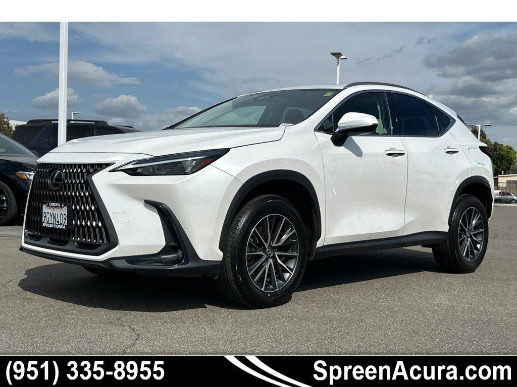 2024 Lexus NX