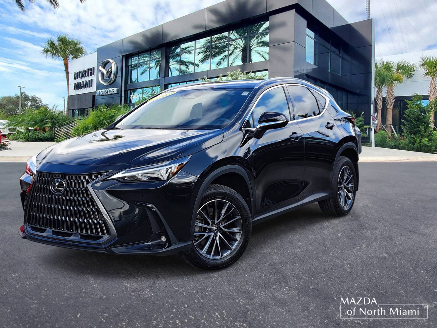 2025 Lexus NX