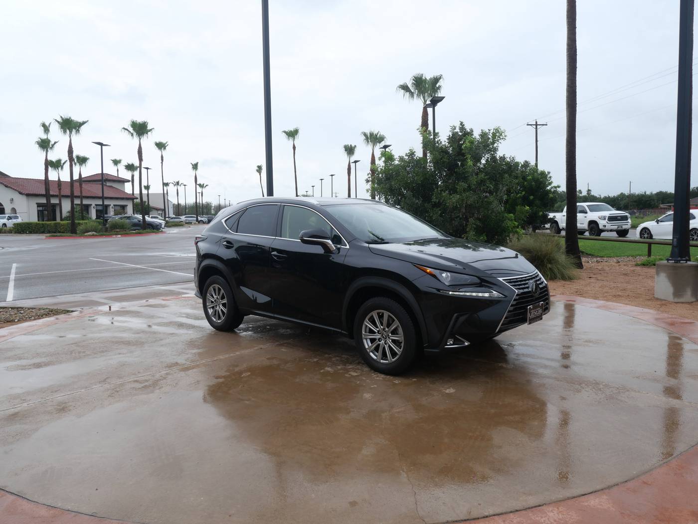 2021 Lexus NX