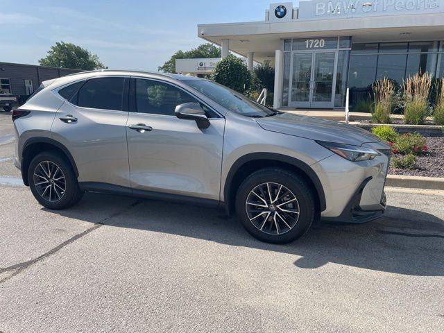 2024 Lexus NX