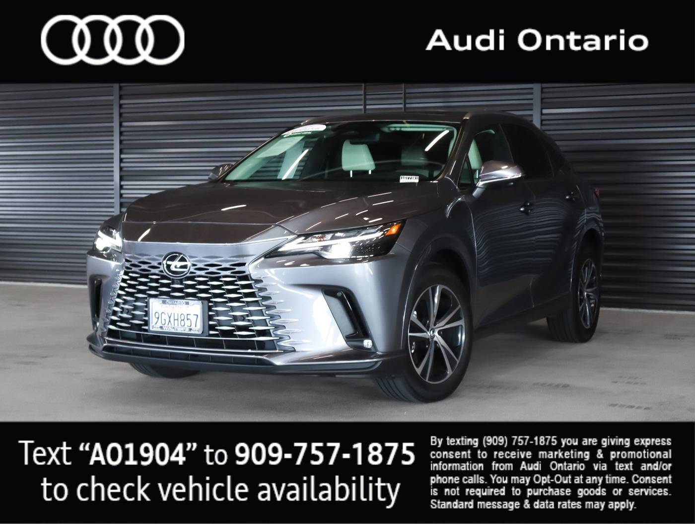 2023 Lexus RX