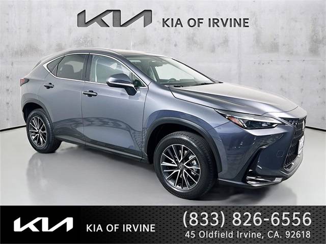 2024 Lexus NX