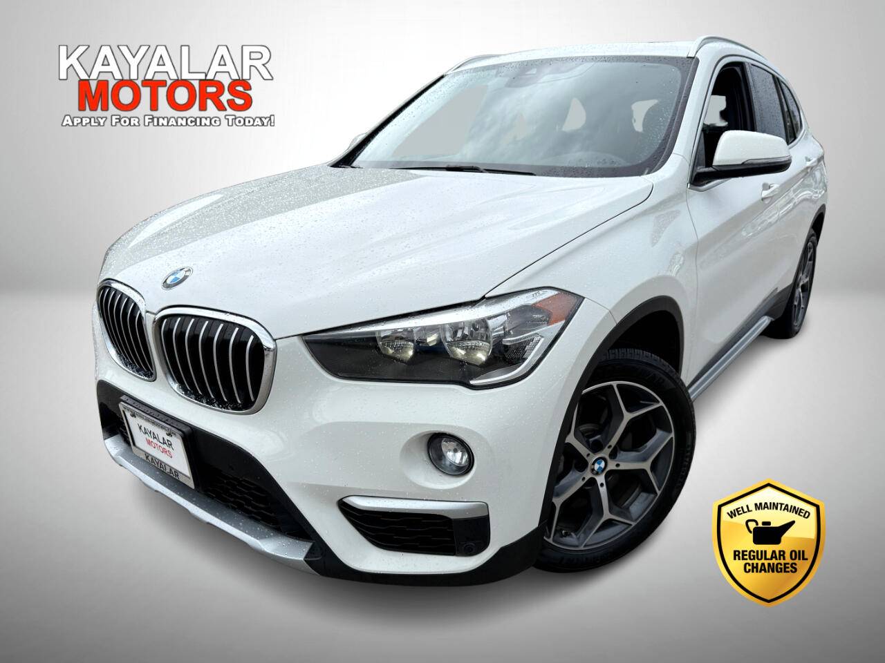 2019 BMW X1