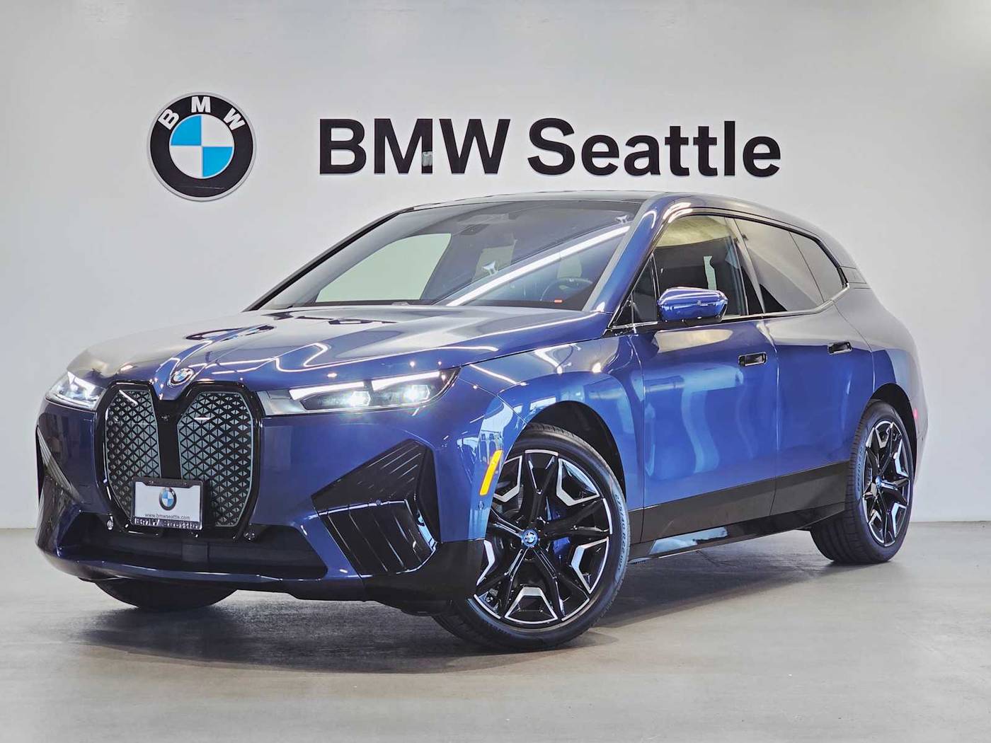 2025 BMW Ix