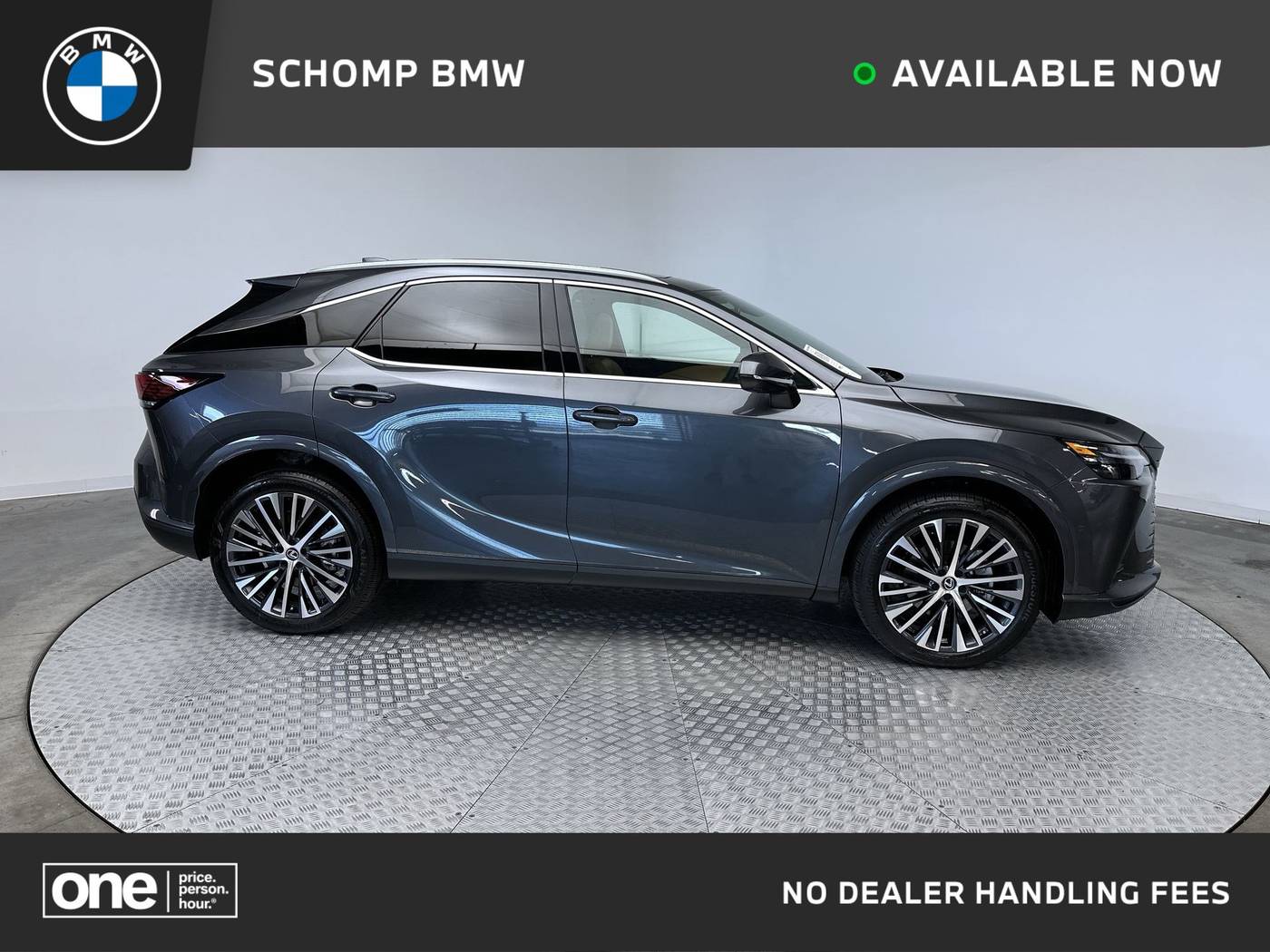 2025 Lexus RX