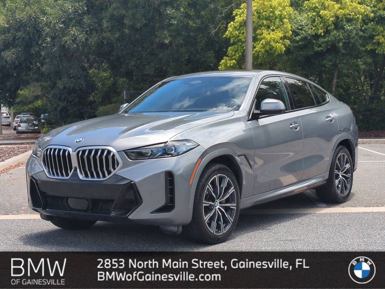 2024 BMW X6