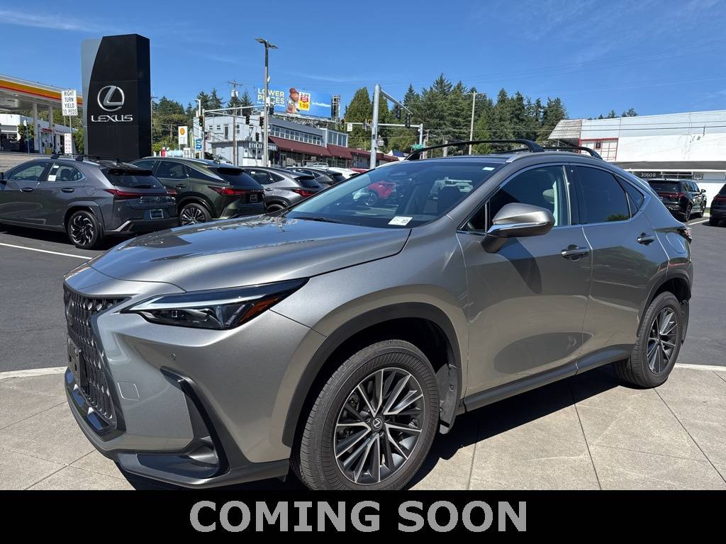 2025 Lexus NX