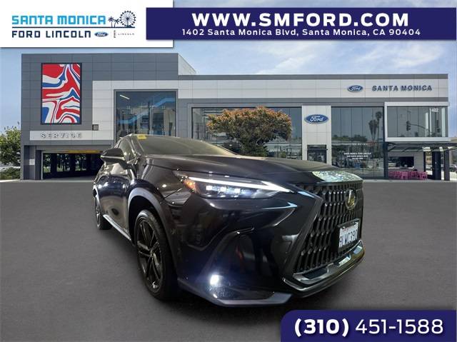 2024 Lexus NX