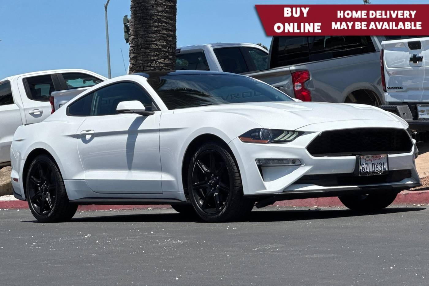 2019 Ford Mustang