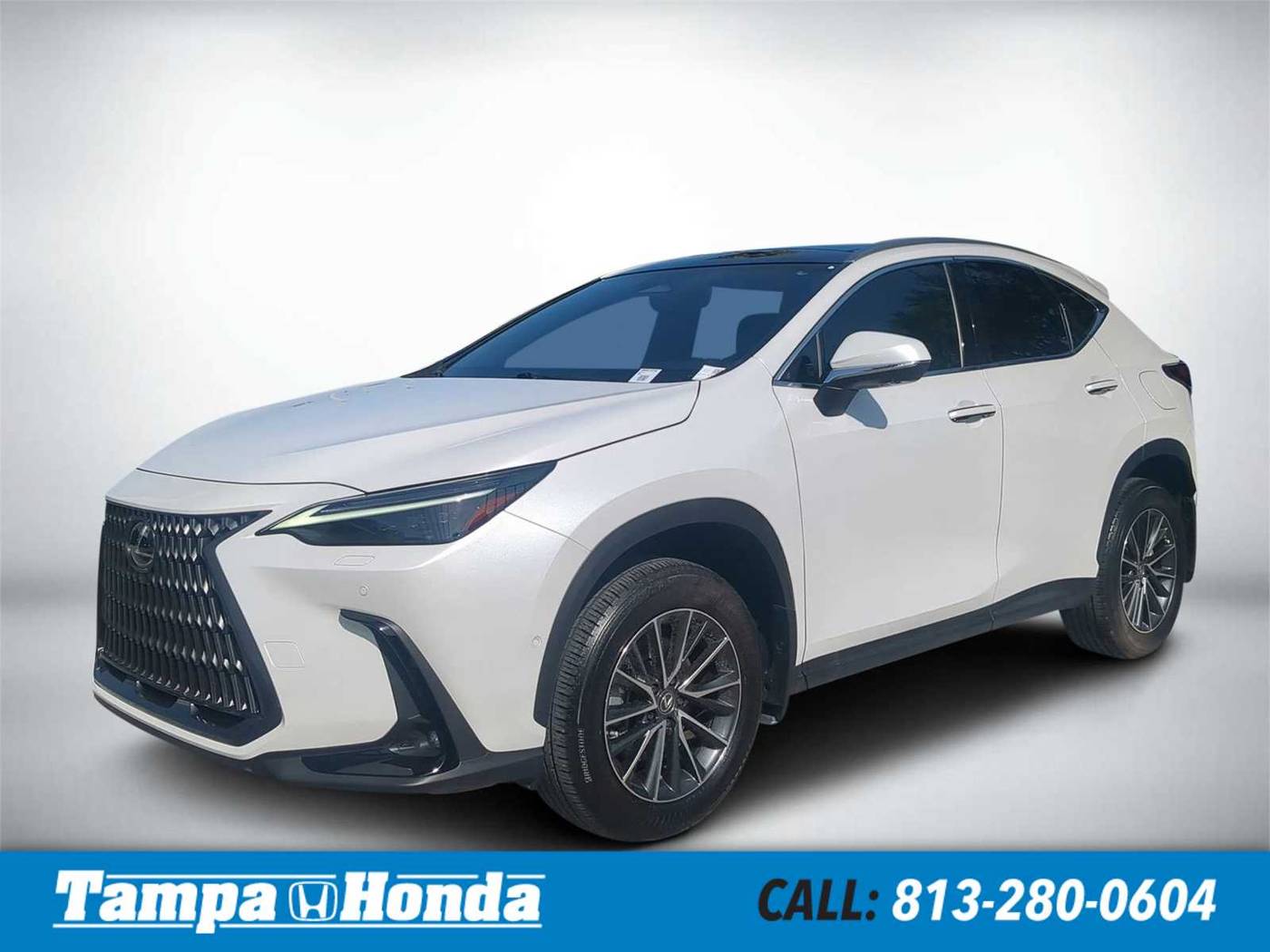 2024 Lexus NX