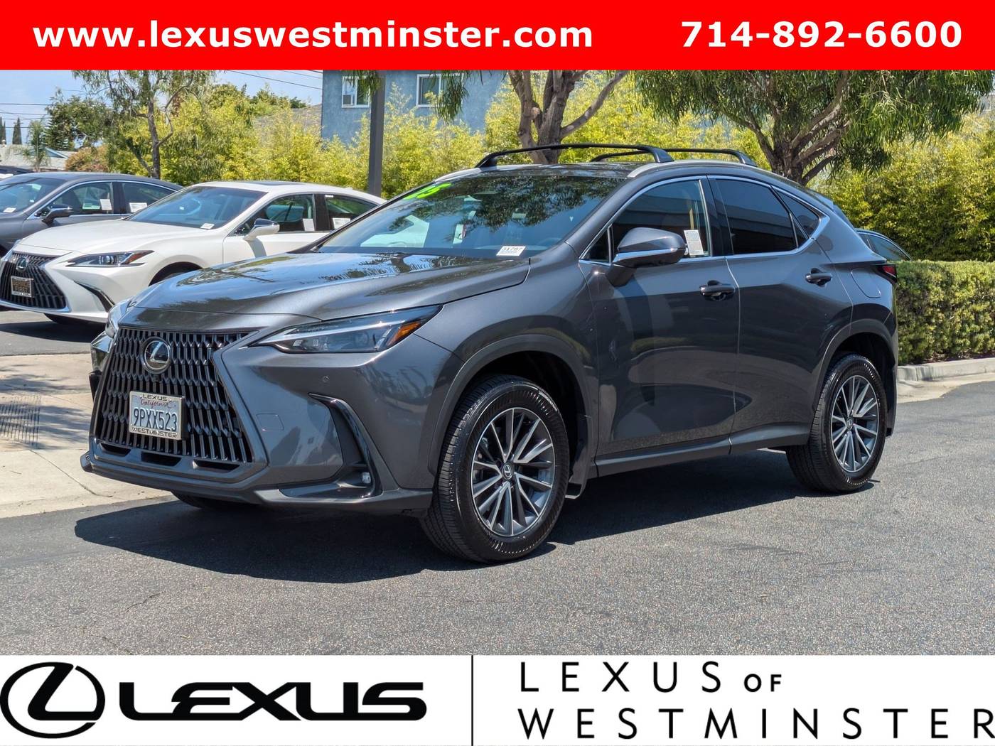 2025 Lexus NX