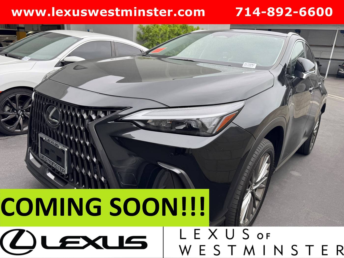 2022 Lexus NX