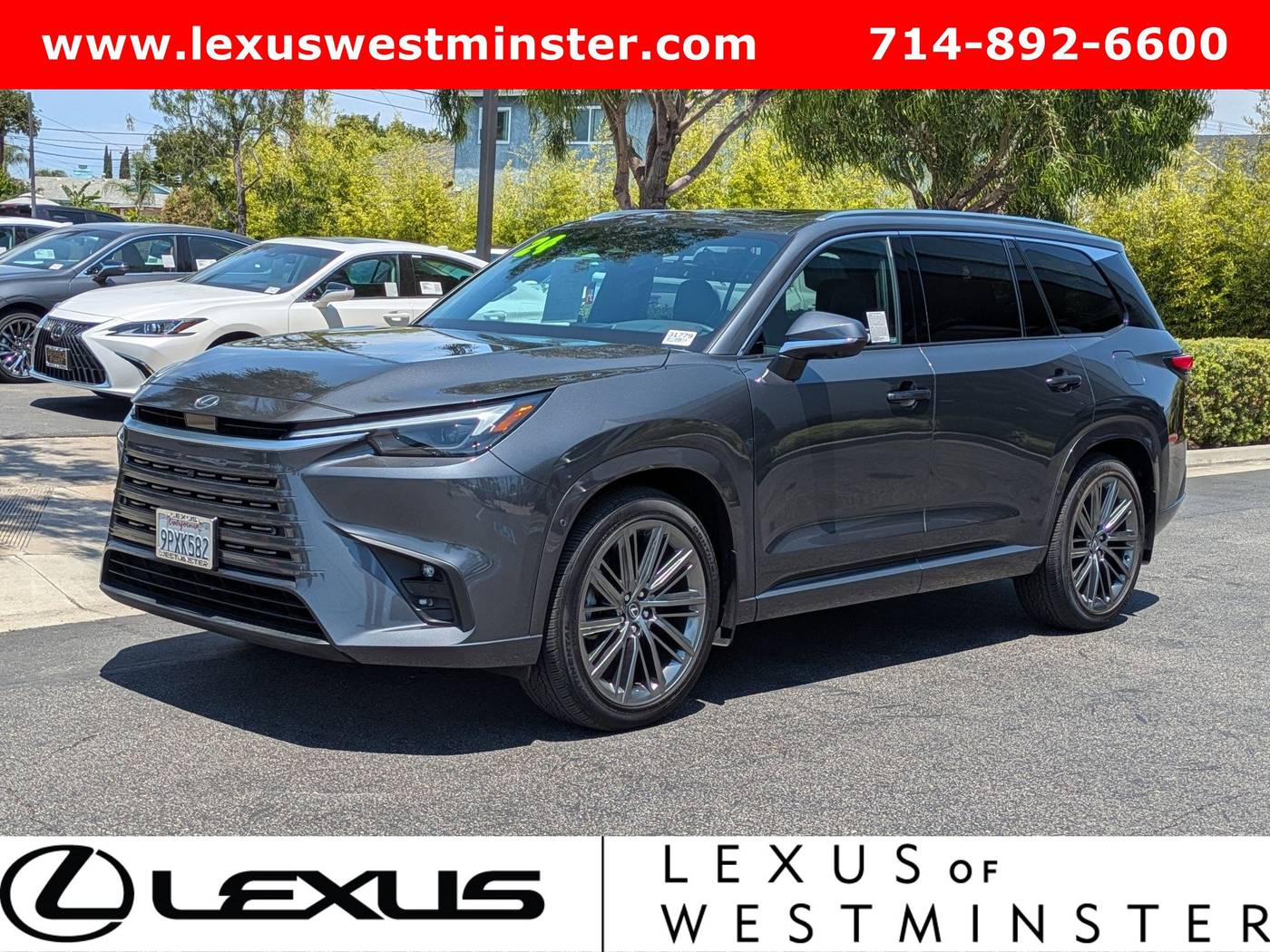2024 Lexus Tx