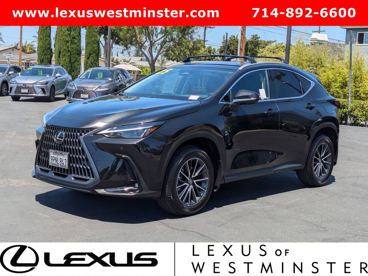 2025 Lexus NX
