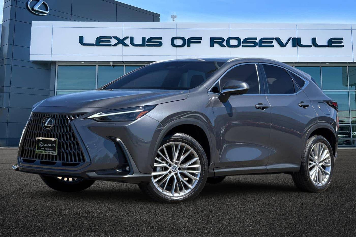2024 Lexus NX