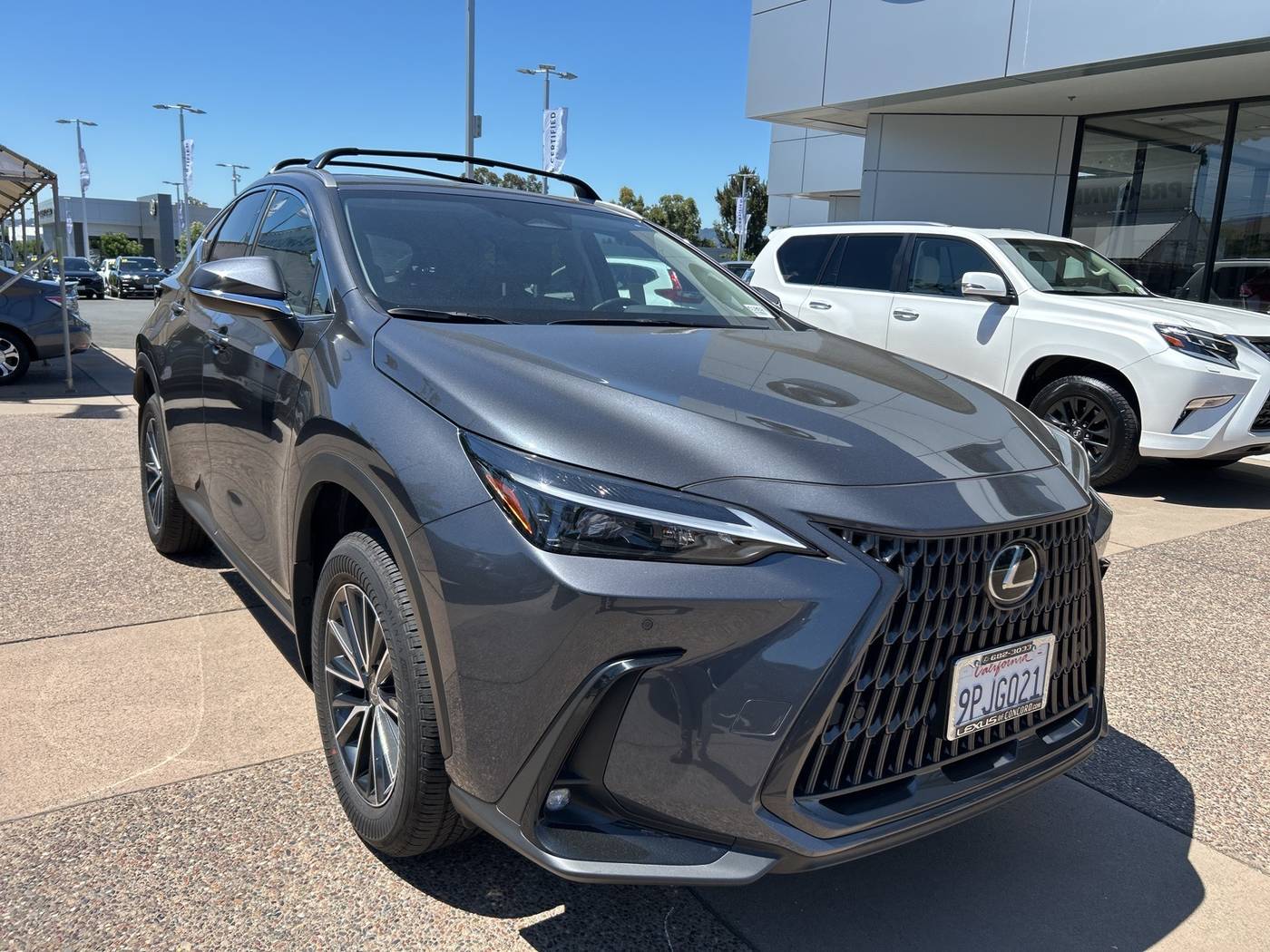 2025 Lexus NX