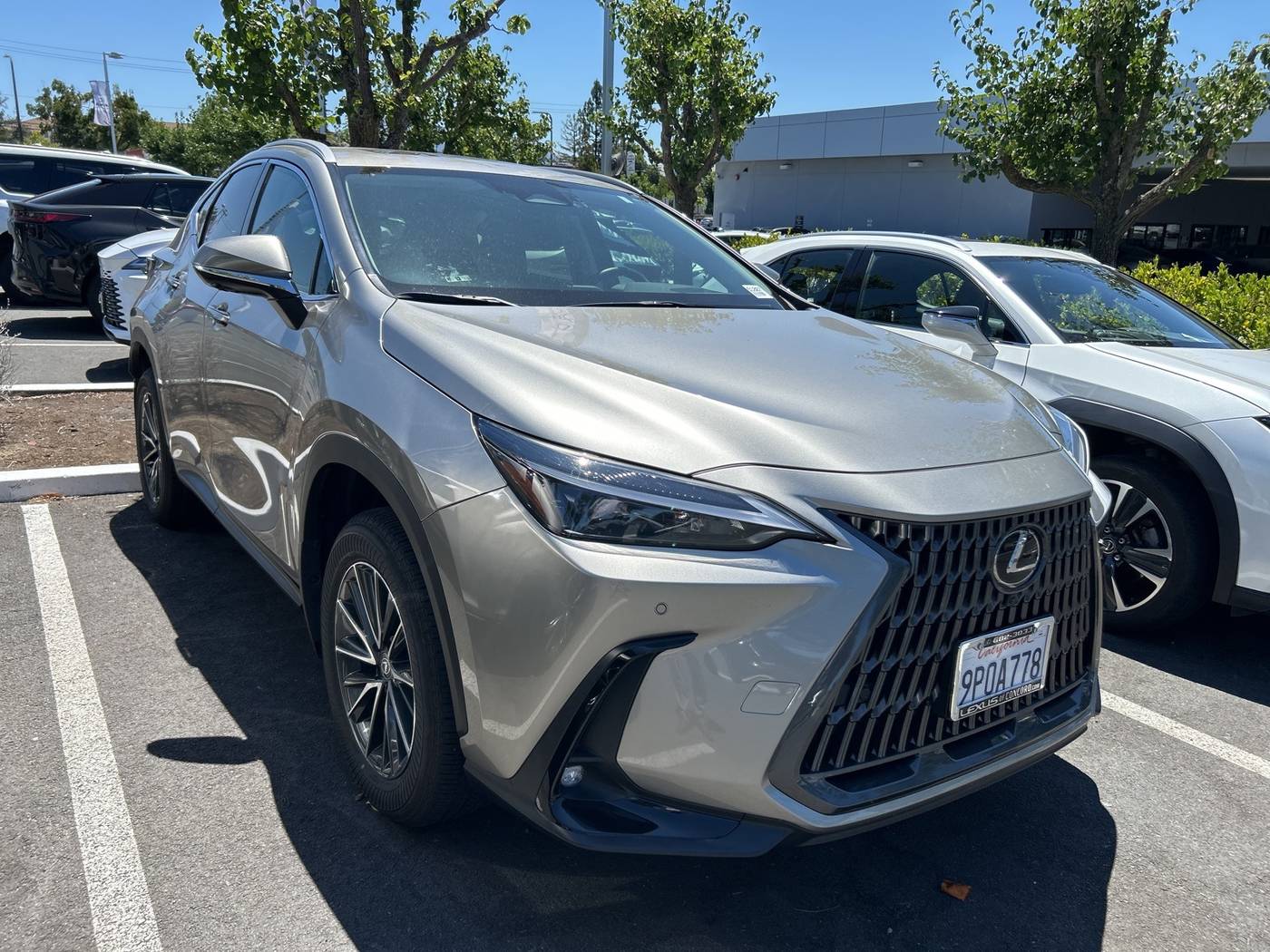 2025 Lexus NX