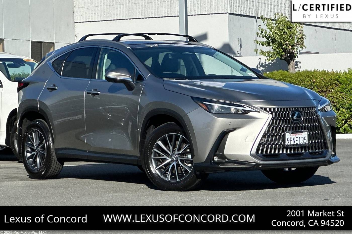 2025 Lexus NX