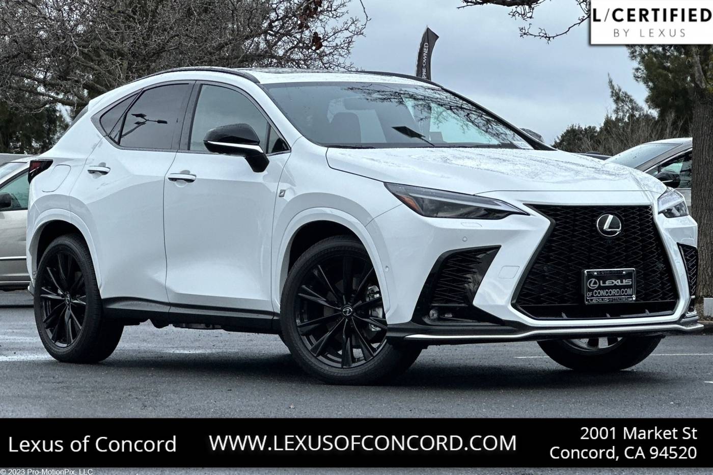 2025 Lexus NX