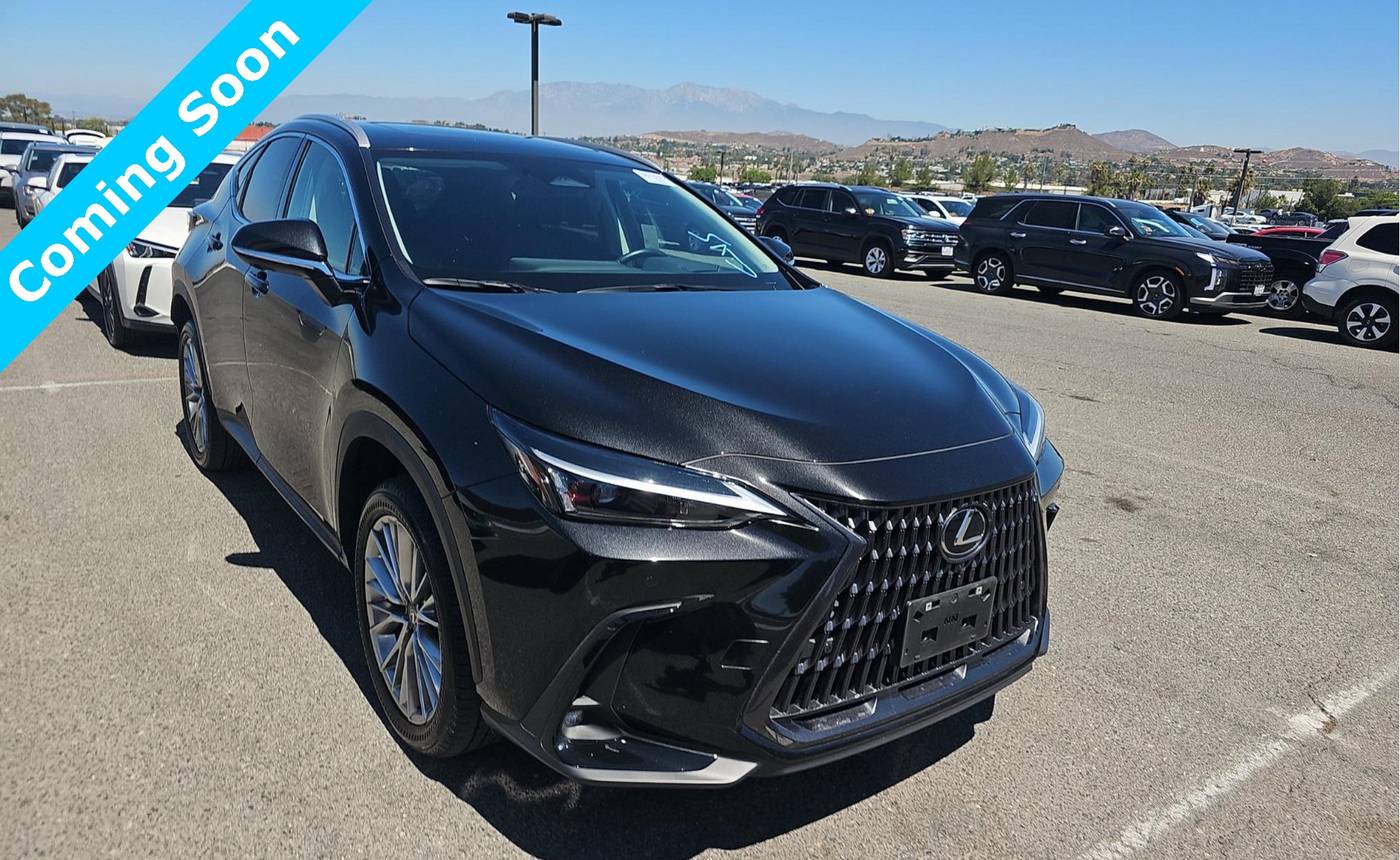 2025 Lexus NX