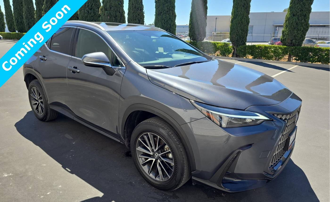2024 Lexus NX