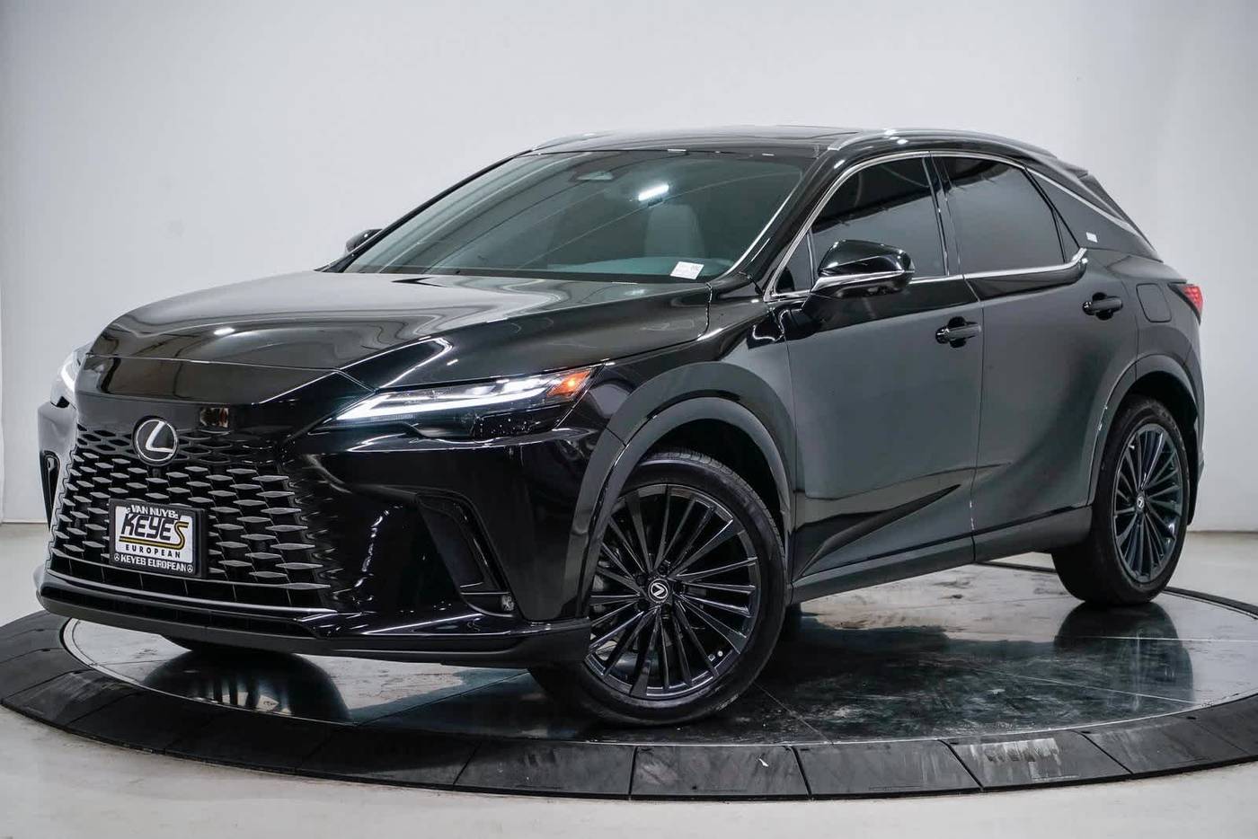 2024 Lexus RX