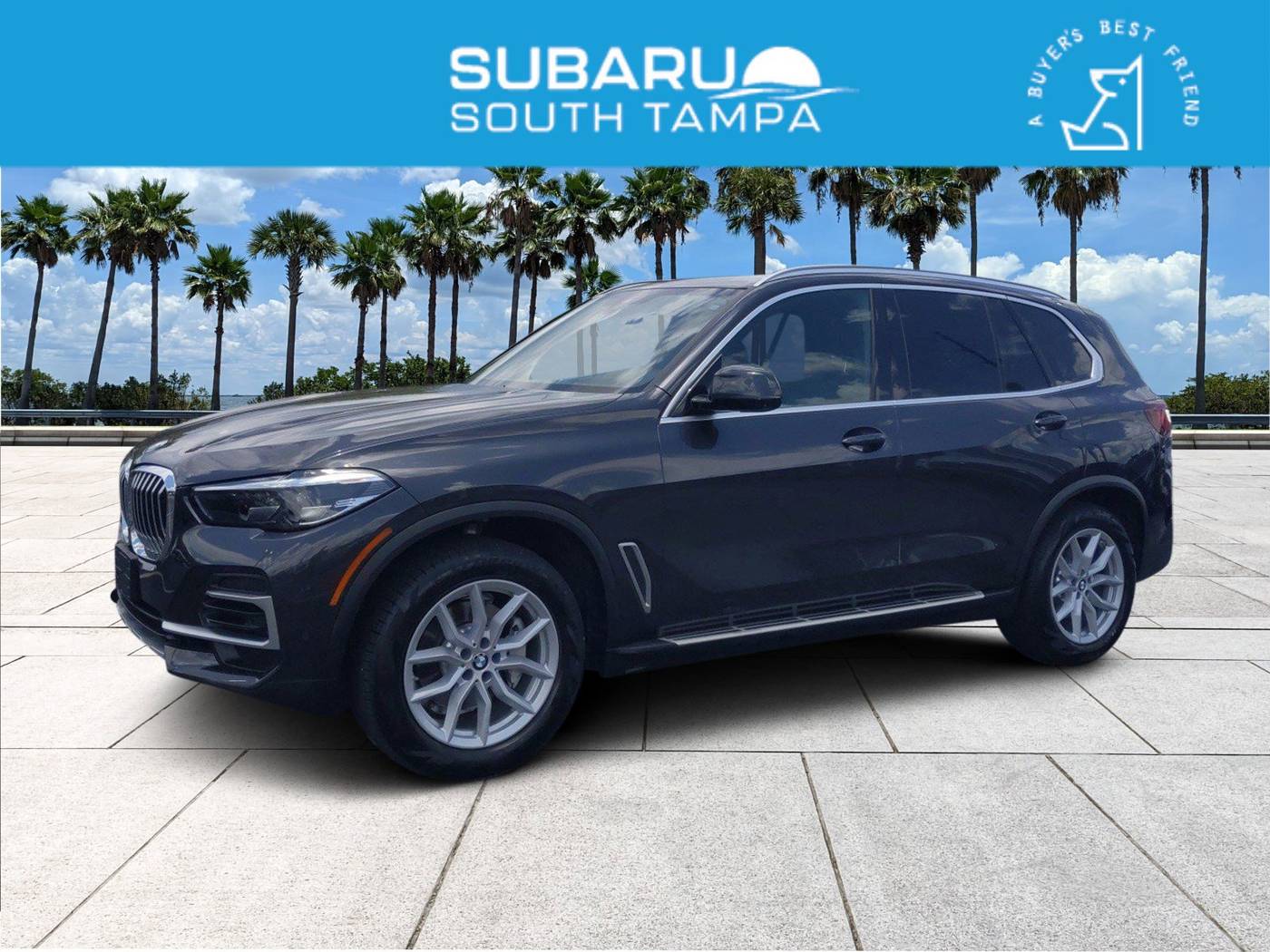 2023 BMW X5