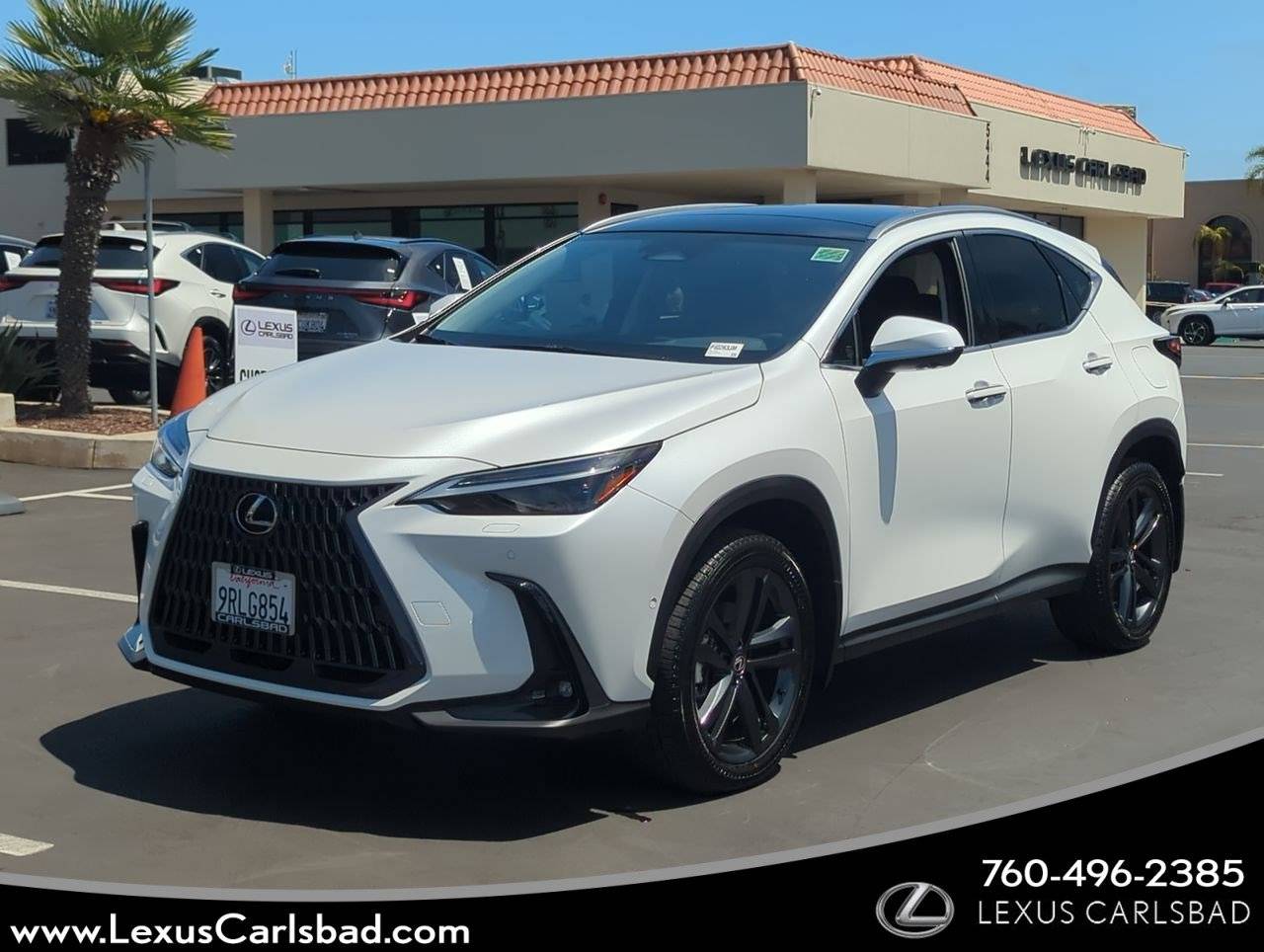 2025 Lexus NX