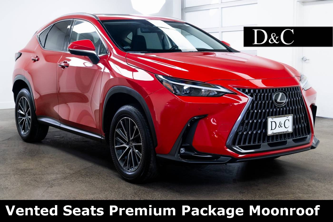 2024 Lexus NX