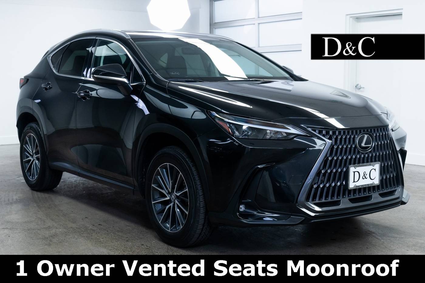 2024 Lexus NX