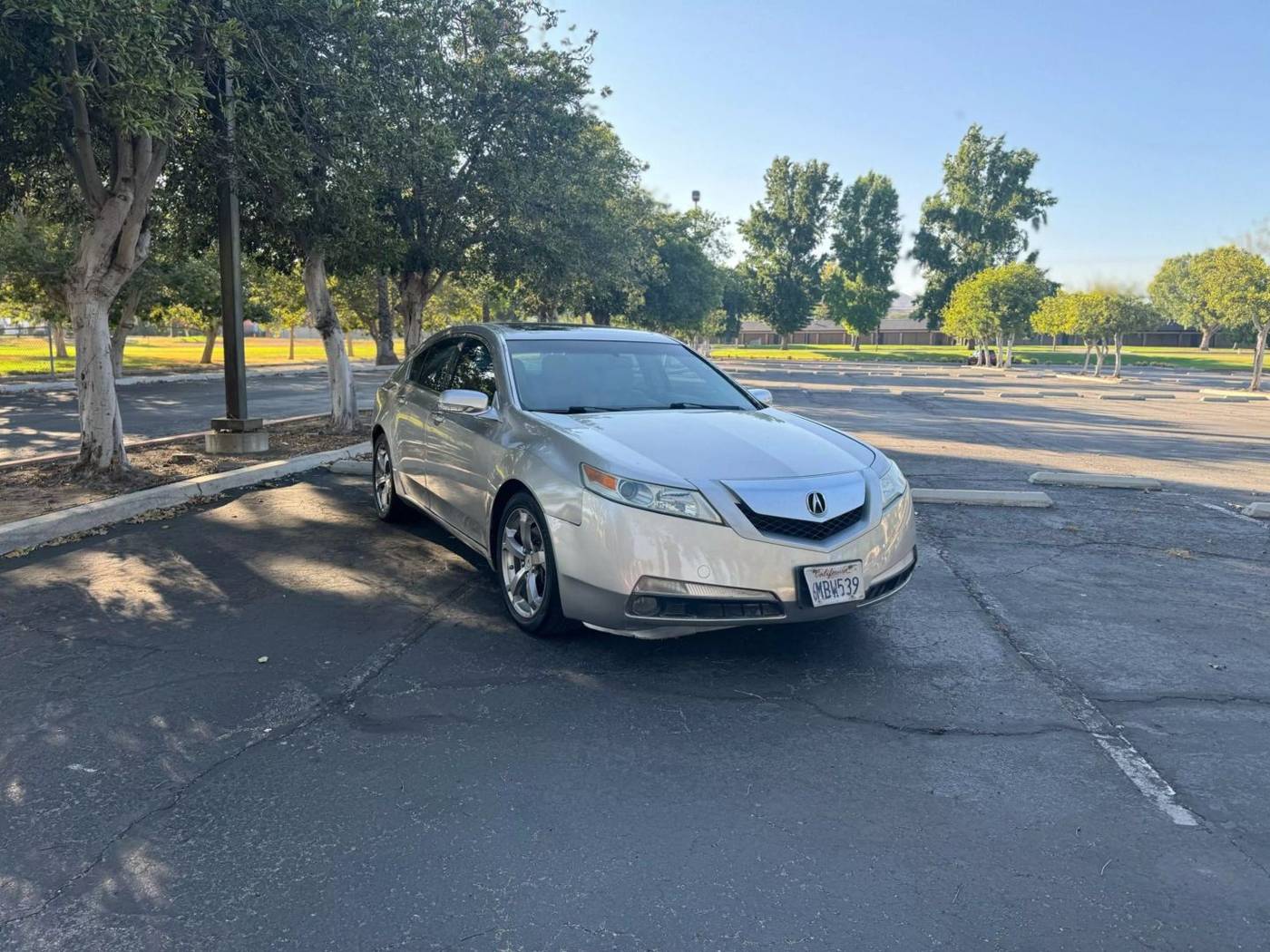 2010 Acura TL