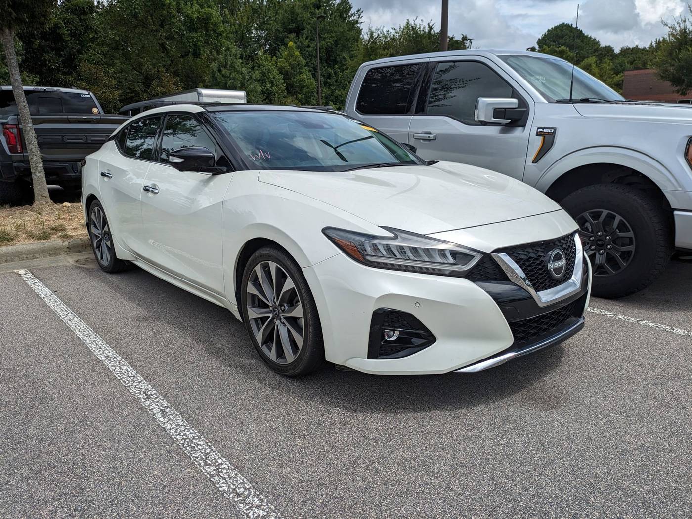 2023 Nissan Maxima