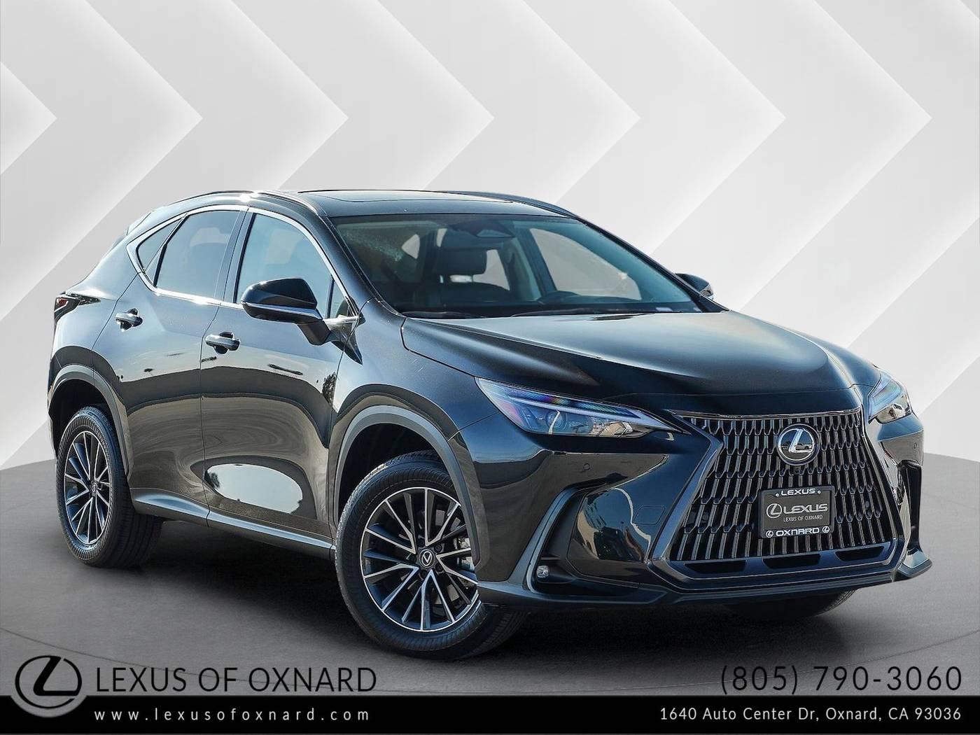 2024 Lexus NX