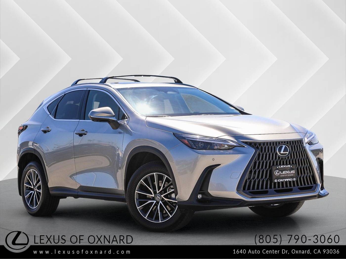 2025 Lexus NX
