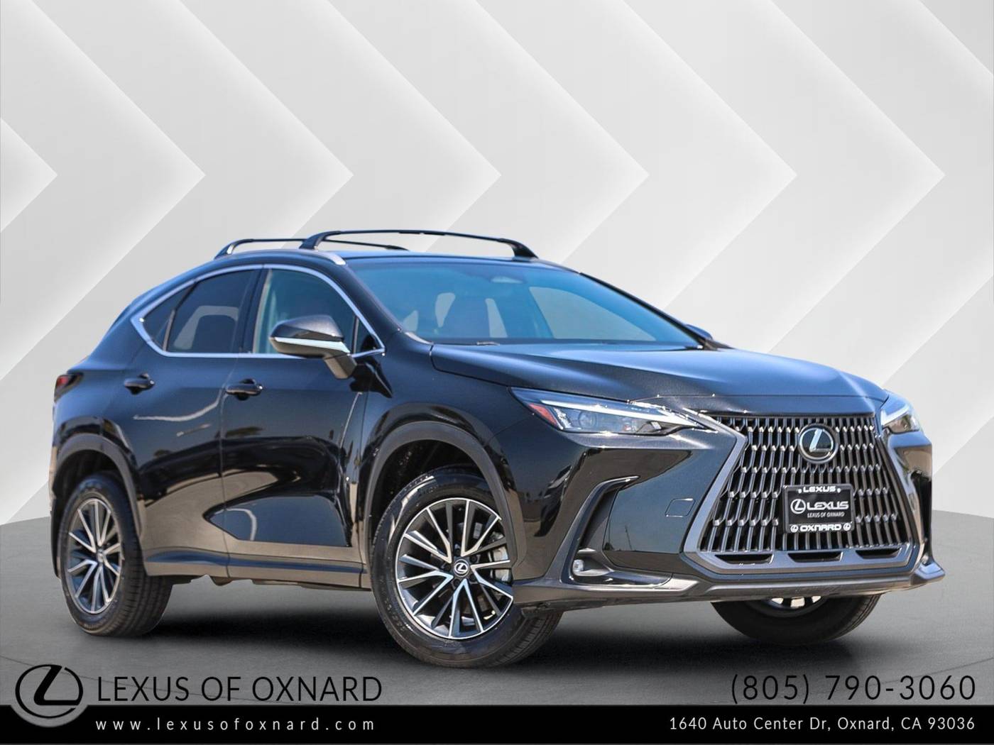 2024 Lexus NX