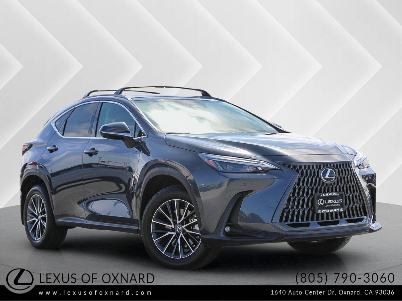 2025 Lexus NX