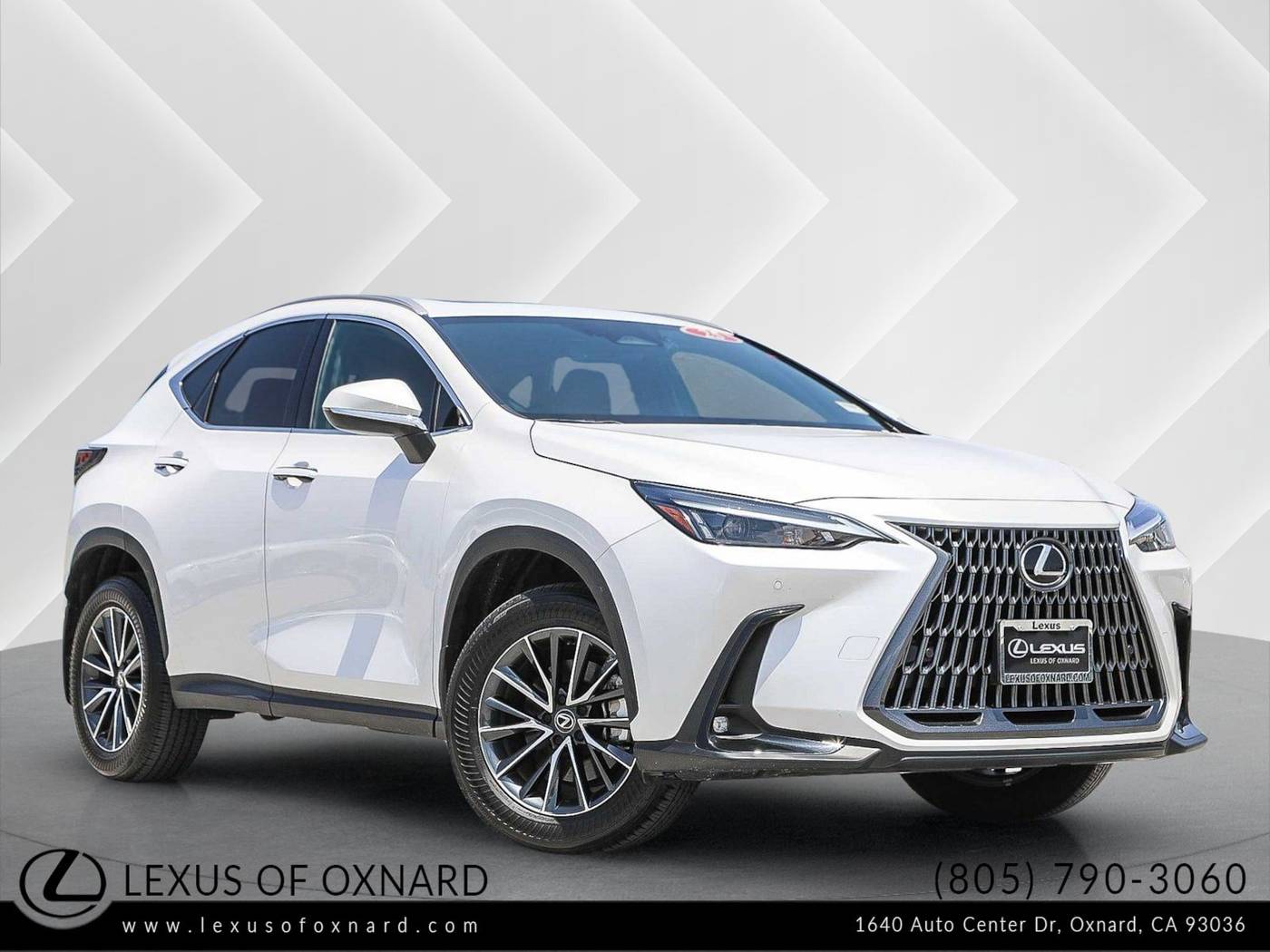 2025 Lexus NX