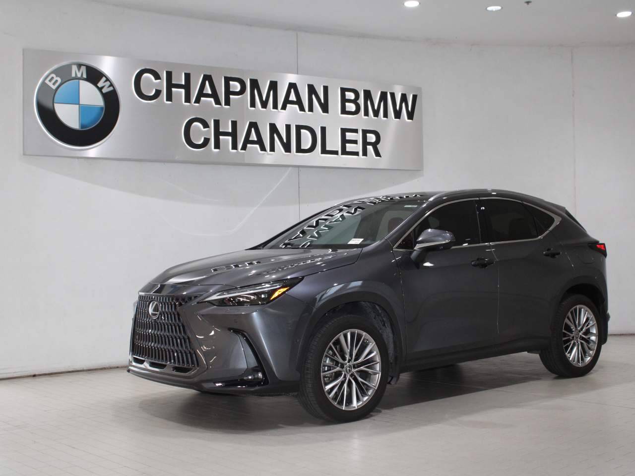 2023 Lexus NX