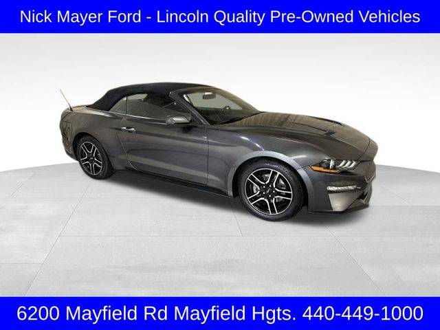 2019 Ford Mustang