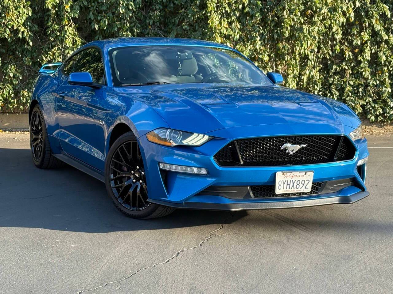 2019 Ford Mustang