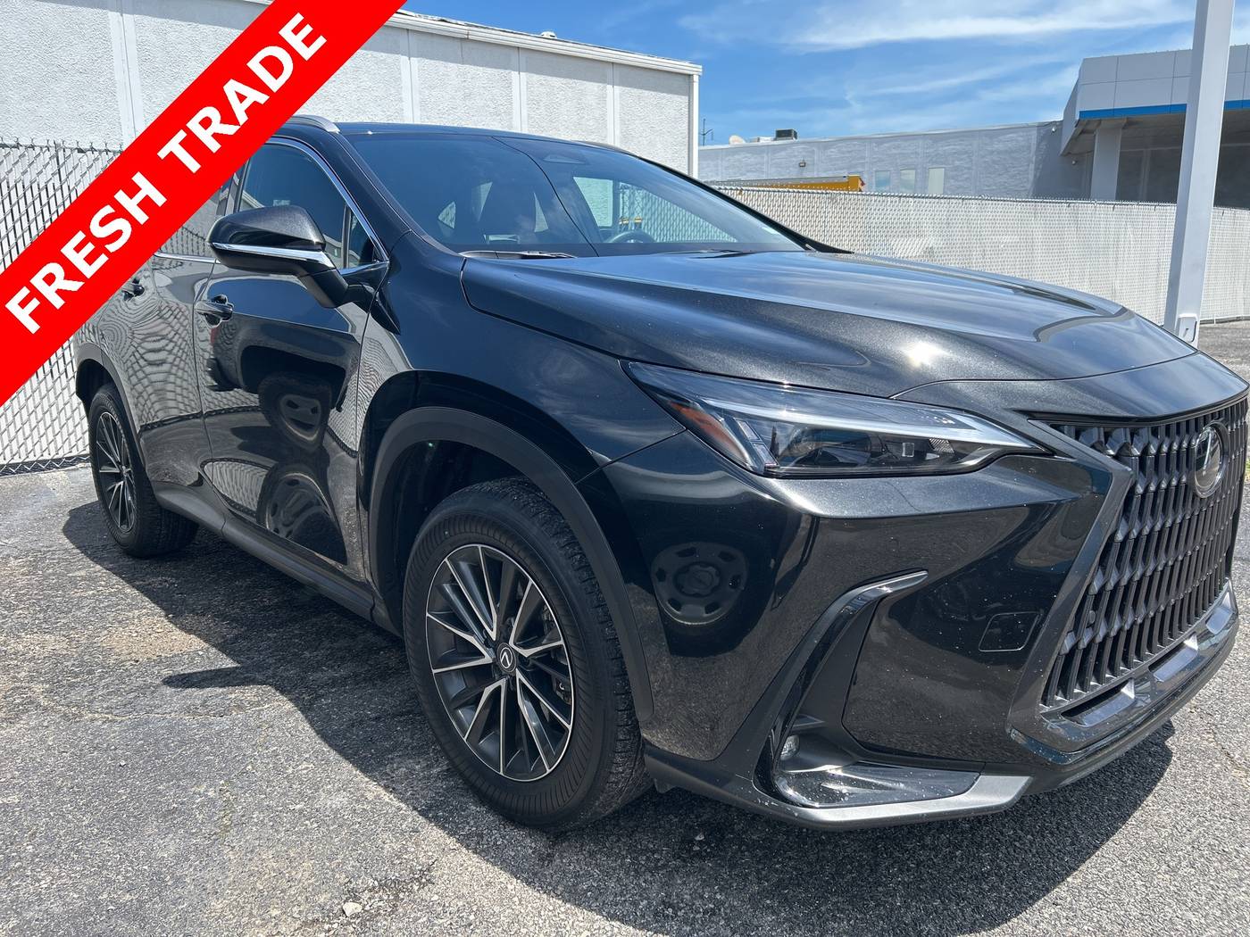 2025 Lexus NX