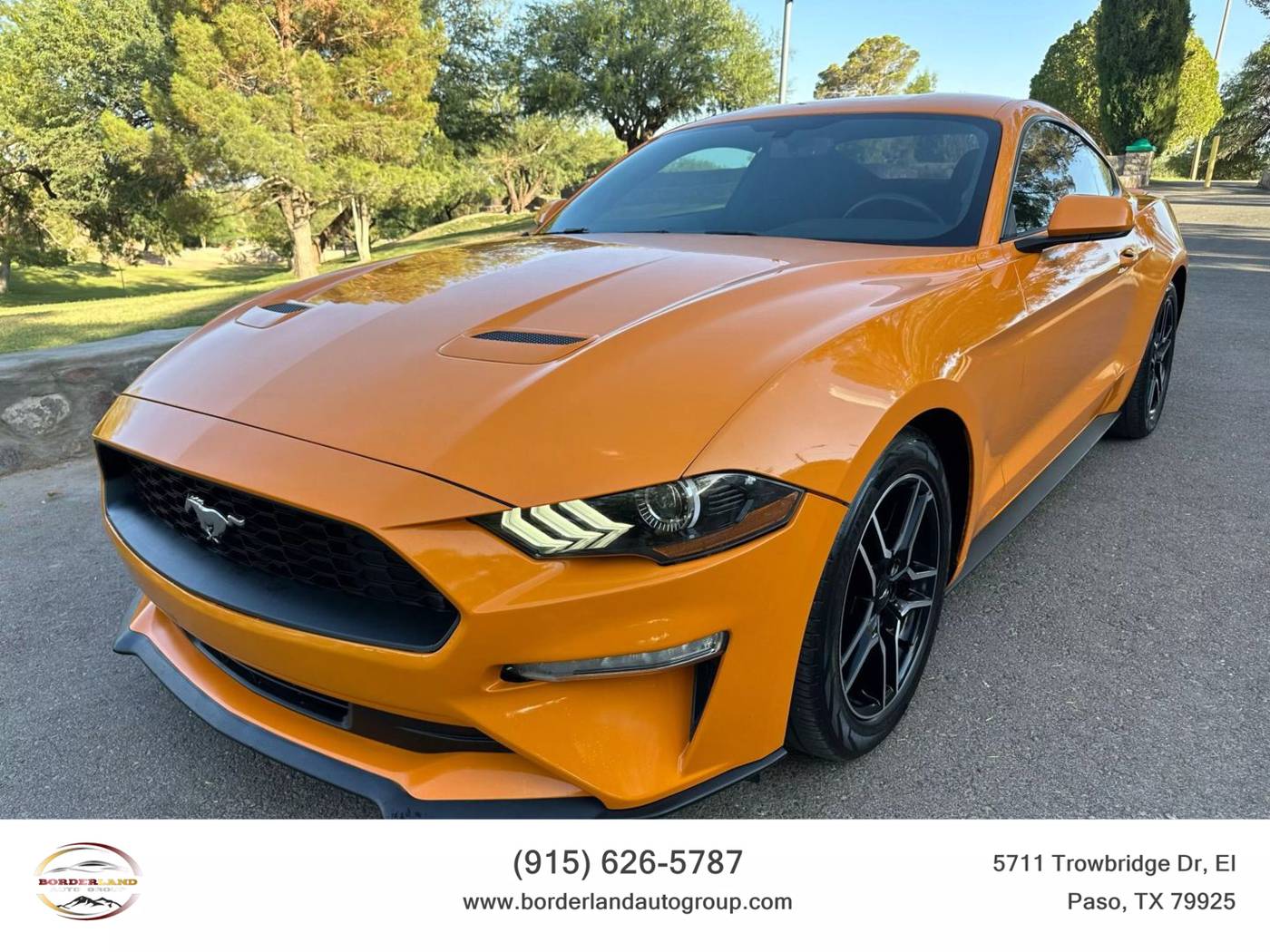 2019 Ford Mustang
