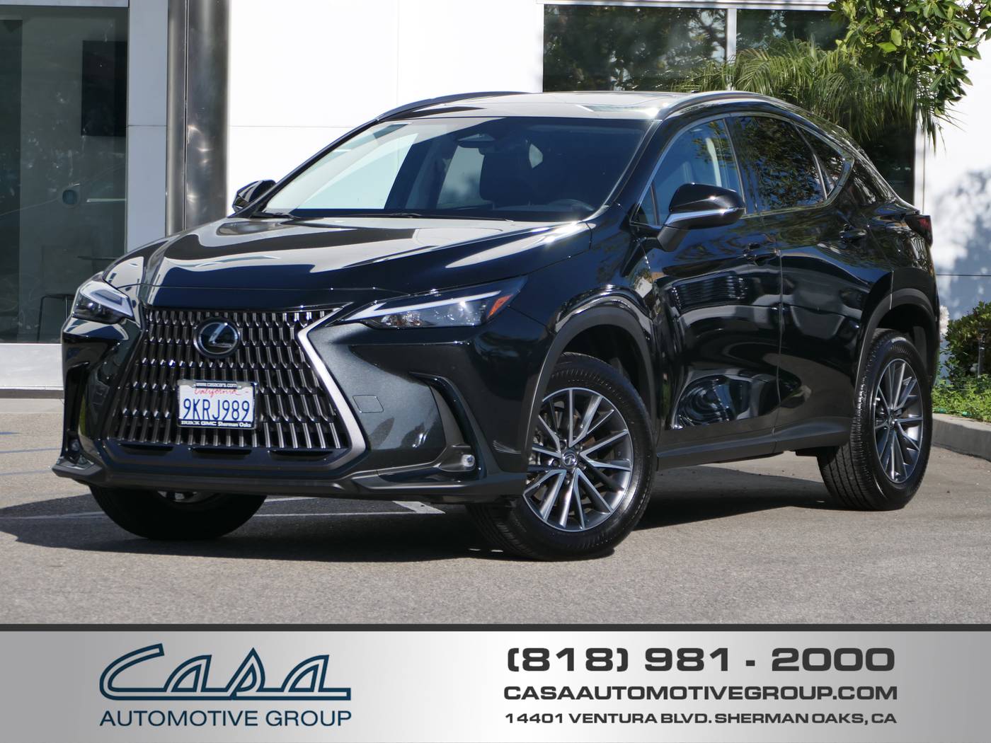 2024 Lexus NX