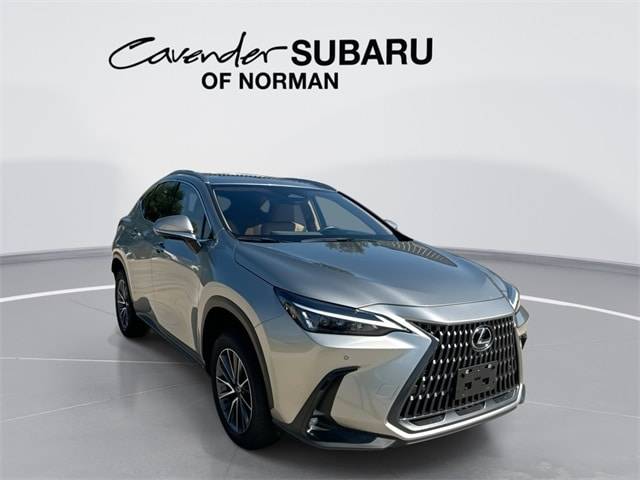 2025 Lexus NX