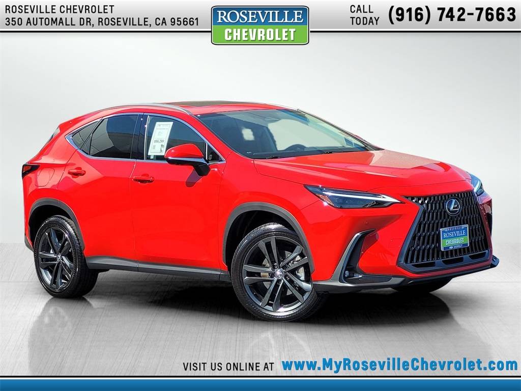2024 Lexus NX