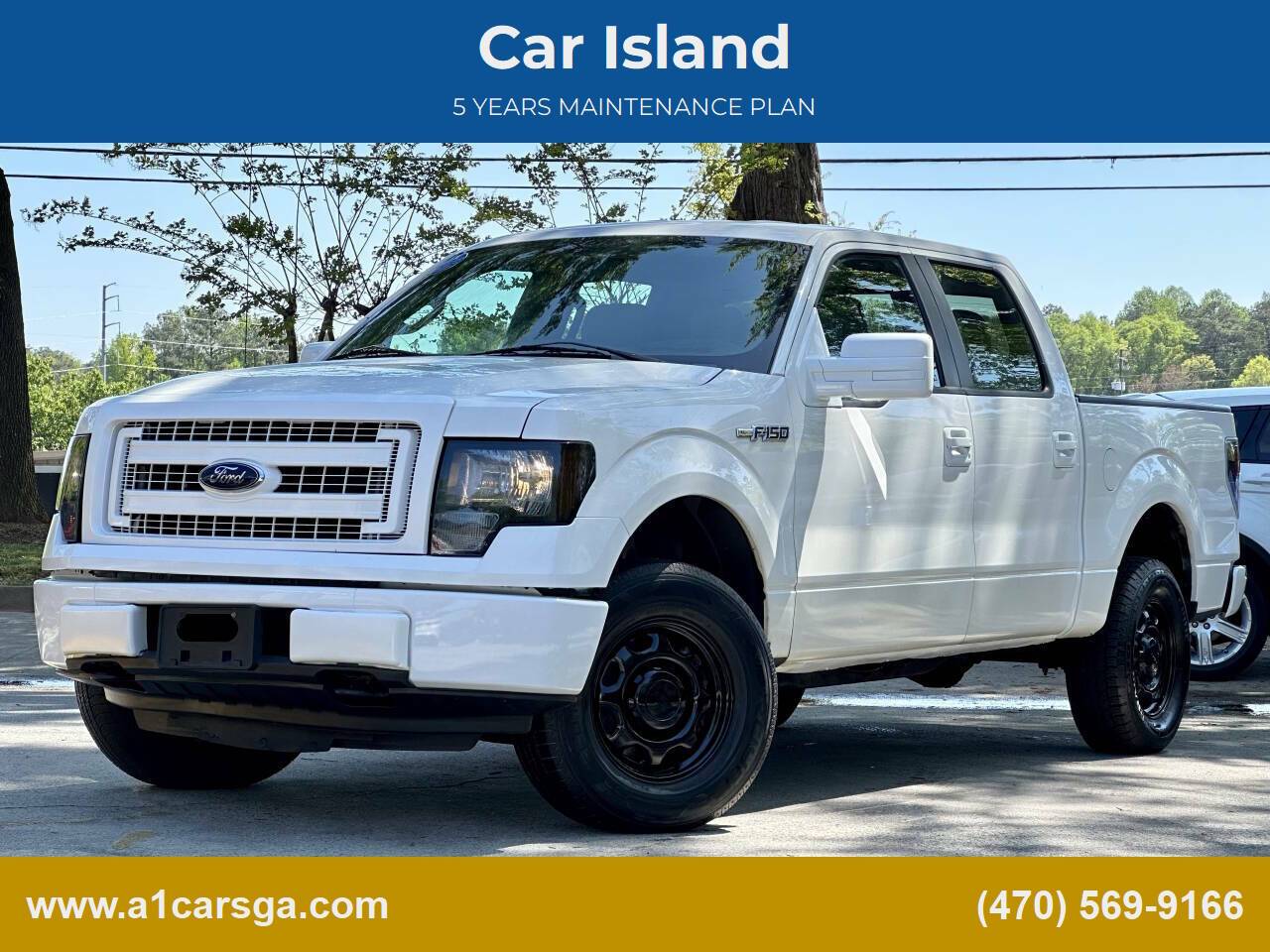 2013 Ford F-150