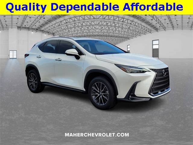 2024 Lexus NX