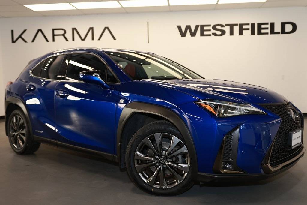 2021 Lexus UX